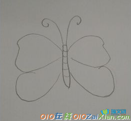 蝴蝶的简笔画步骤图片