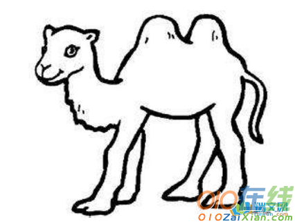 骆驼卡通图片简笔画