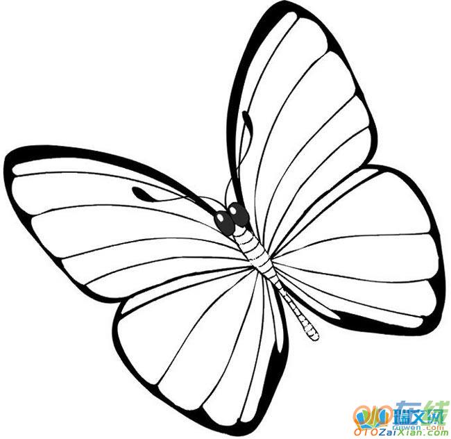 蝴蝶的简笔画图片