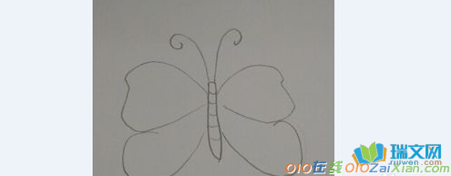 蝴蝶简笔画卡通图片