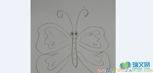 蝴蝶简笔画卡通图片