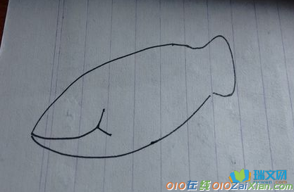 大鲨鱼图片卡通简笔画