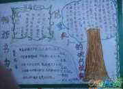 獲獎(jiǎng)讀書手抄報(bào)