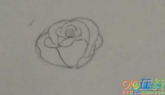 玫瑰花束图片简笔画