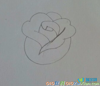 玫瑰花卡通图片简笔画