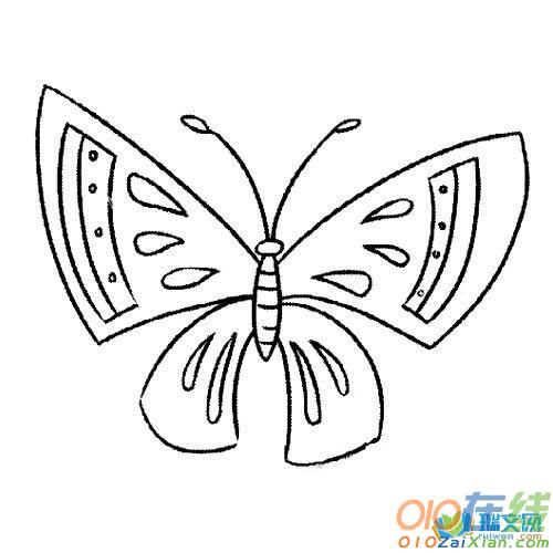 蝴蝶简笔画图片素材