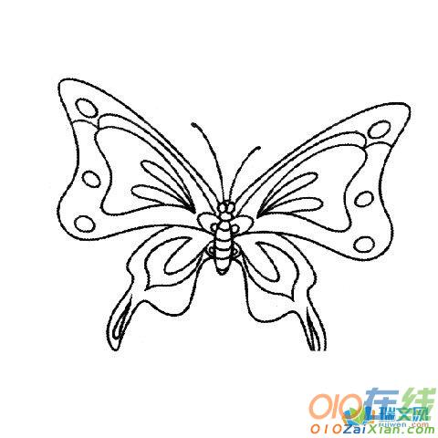 蝴蝶的简笔画图片素材