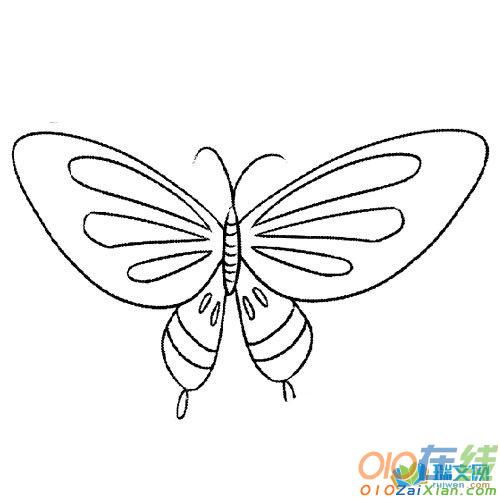 蝴蝶的简笔画图片素材