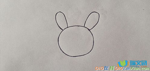 小兔子动漫图片简笔画