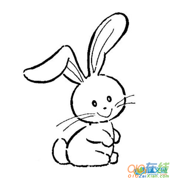 小兔子动物图片简笔画