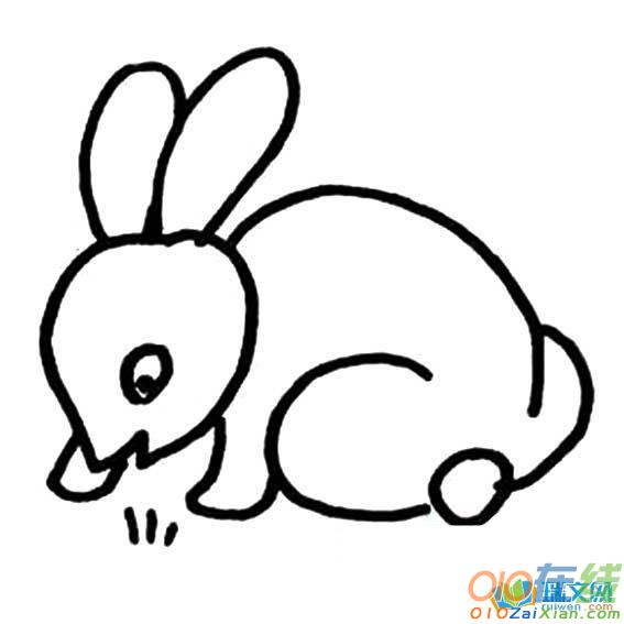 小兔子动物图片简笔画