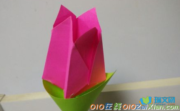 简单折纸玫瑰花步骤图解