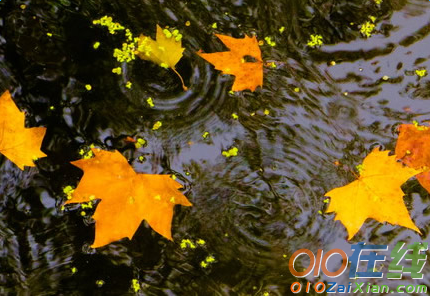 关于秋天的雨现代诗歌