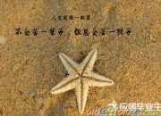 成功人生的勵志哲理的句子