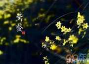 意境唯美的古詩詞摘抄