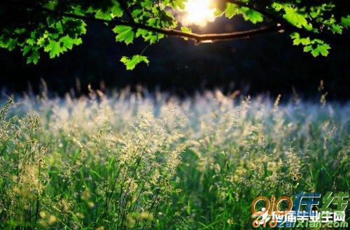 关于春雨的古诗和意思