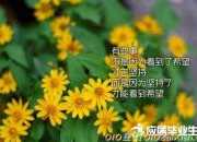 勵志的正能量小故事