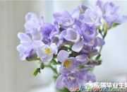 優(yōu)美抒情的300字散文