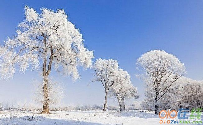 古典诗词雪中