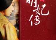 《女醫(yī)明妃傳》小說演員表