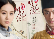 小說明妃女醫(yī)傳大結(jié)局介紹