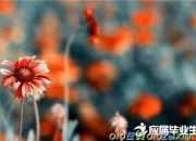古代描寫戰爭的詩詞