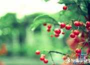 現實中的愛情故事