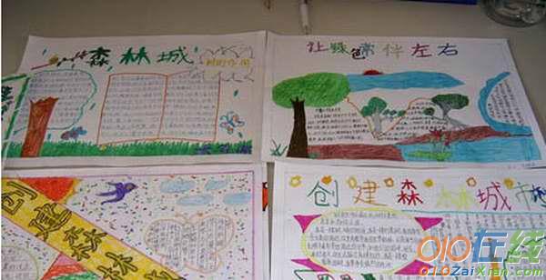 创森林城市手抄报标语