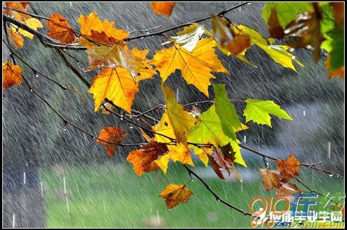 暴雨段落