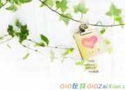 張小嫻《面包樹上的女人》主角語錄