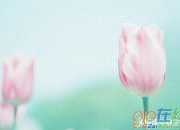 盛夏的詩詞