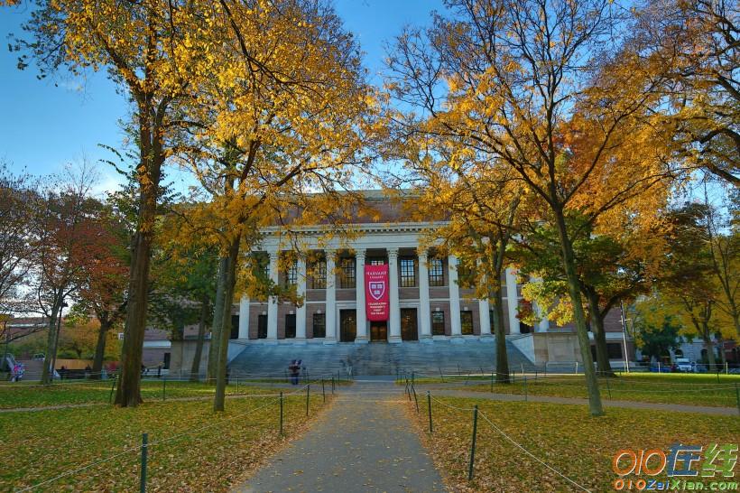 美国哈佛大学图片