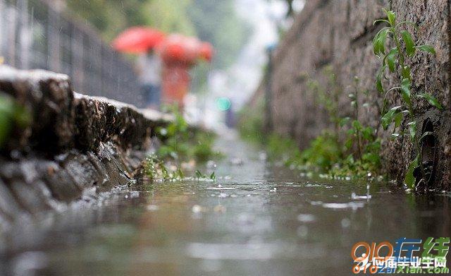 描写春雨的段落50字