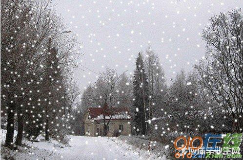 写雪抒情的散文