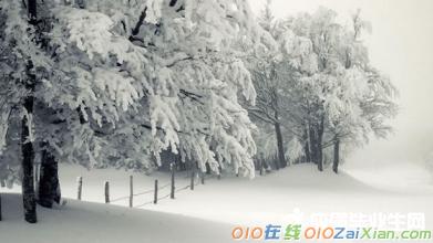 古诗春雪表达感情