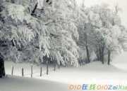 古詩春雪表達感情
