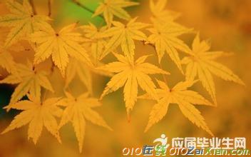 秋季的写景散文