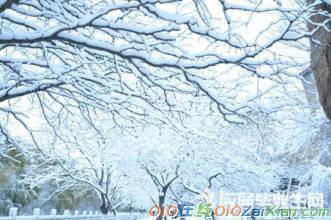 写雪景抒情散文