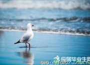 顧城精彩語錄