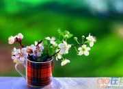 人生哲理性的散文