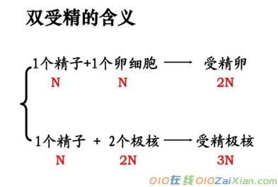 有性生殖教学课件