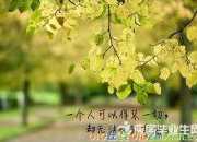 評價顧城