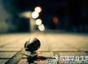 勵志經(jīng)典人生語錄
