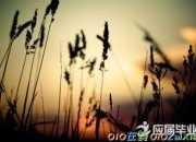 賈平凹語言的幽默性