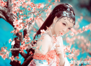 經典唯美古詩句50句