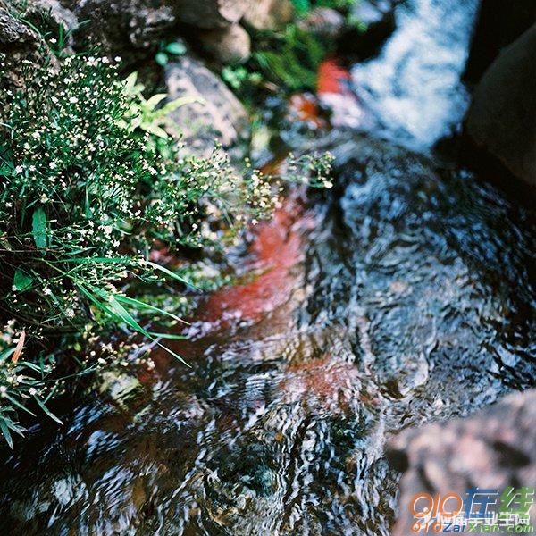 孟浩然与山水诗