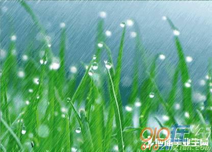 赞美春雨的古诗