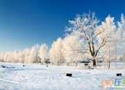 形容冬天景色的古诗有哪些
