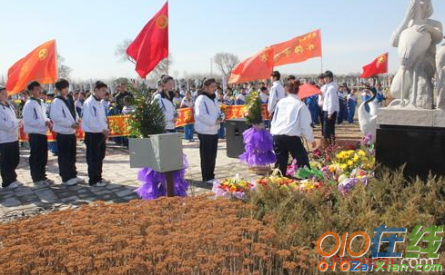 市落实清明节文明祭扫工作简报