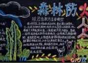 森林防火災黑板報